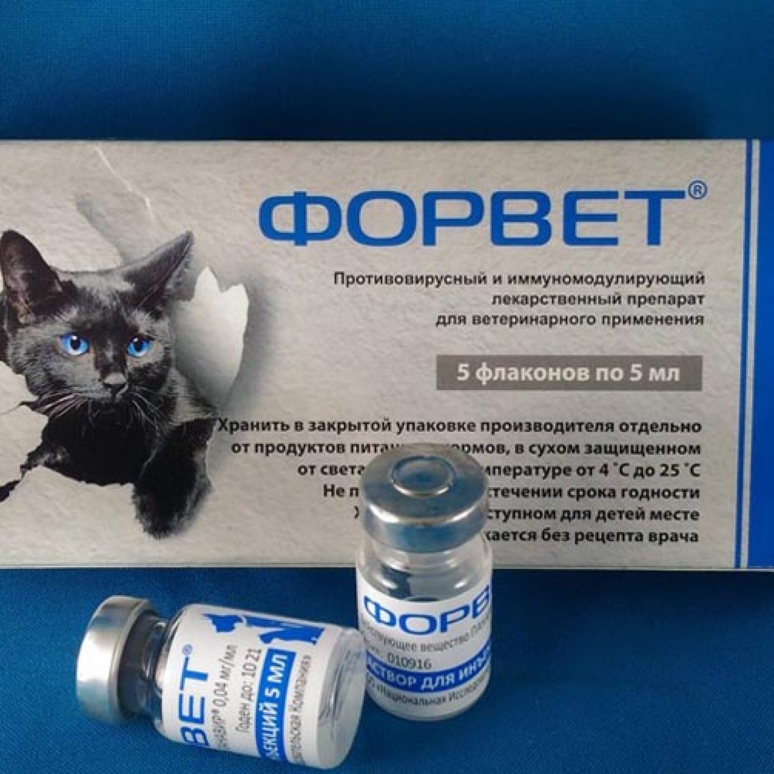 Кошка после антибиотиков. Форвет для кошек. Лекарственные средства для животных. Форвет инъекции. Противовирусные препараты для кошек.